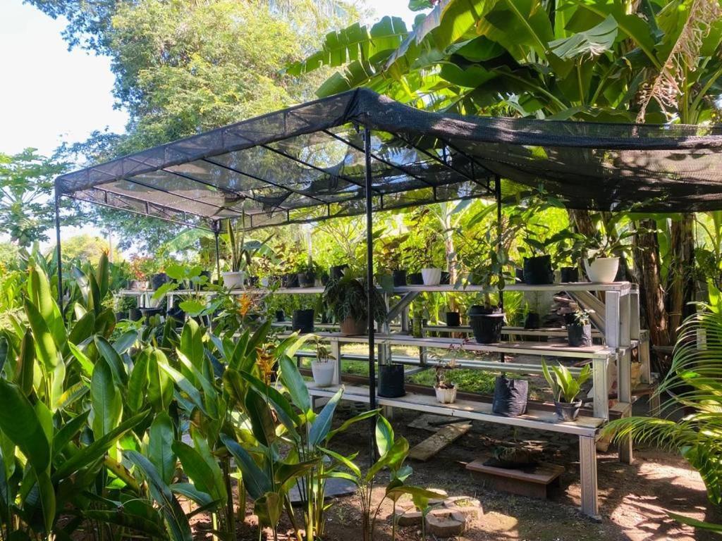 吉利阿尔 Al-Shifa Healing House Lombok酒店 外观 照片