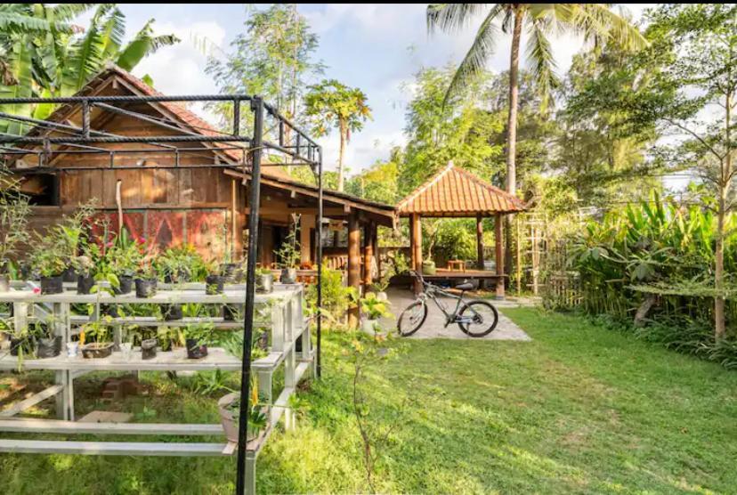 吉利阿尔 Al-Shifa Healing House Lombok酒店 外观 照片